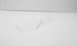 Lg Refrigerator - Freezer Door Shelf - Ebz64663412 Basket Part
