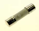 Ceramic Fuse 5x20mm - 49019685 Fuse [Candy Hoover]